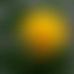 On a barren road, what a January afternoon taught me