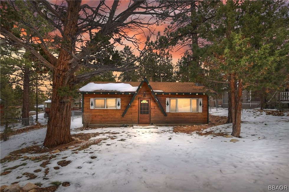 How Much Can a Big Bear Cabin Really Earn? A Real Numbers Breakdown by Bedroom Count