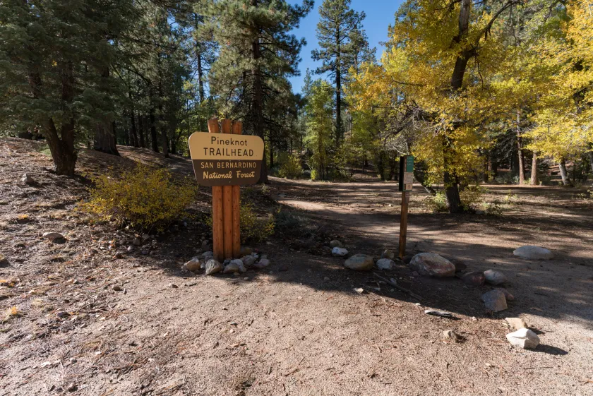 pine knot trail