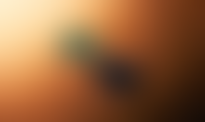 SK hynix (With:Wayne Hills Bryant A.I) technology transfer
2024.1Q Closing Soon