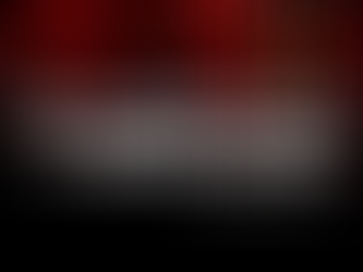 Wayne Hills Bryant A.I NEWS LETTER v.39