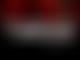 Wayne Hills Bryant A.I NEWS LETTER v.49