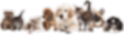 hiclipart.com (7).png
