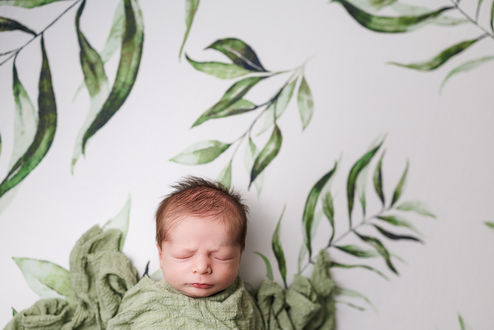 newborn baby boy headshot on leafy background for newborn photo session portrait