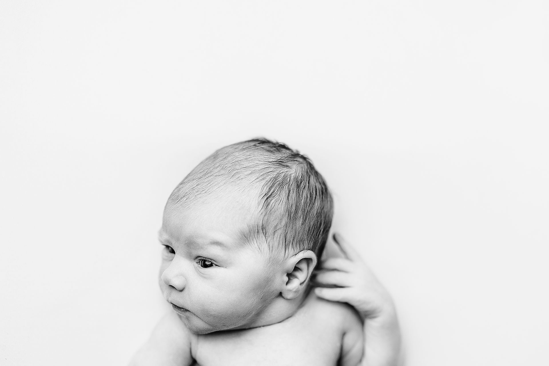 newborn expression portraits, newborn mugshots, newborn portraits, newborn black and white photography