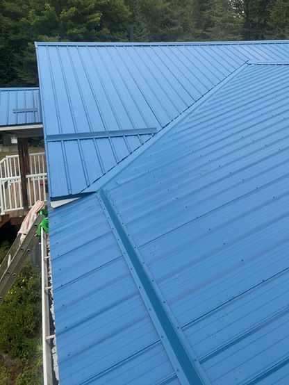 BLUE ROOF_edited.jpg