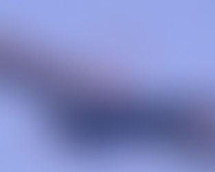 Forças de segurança da Índia revelam avistamentos