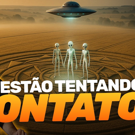 O mistério que envolve os círculos nas plantações