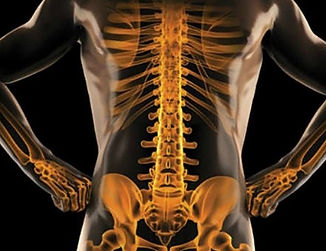Improving-bone-strength.jpg