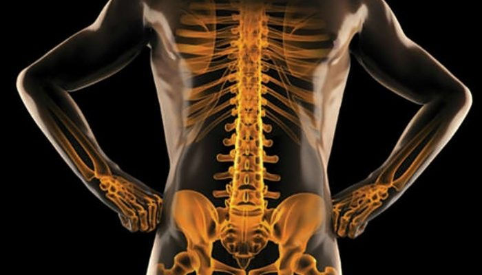Improving-bone-strength.jpg