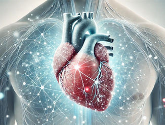 the-heart-has-its-own-brain-1734563753789_1280.jpg