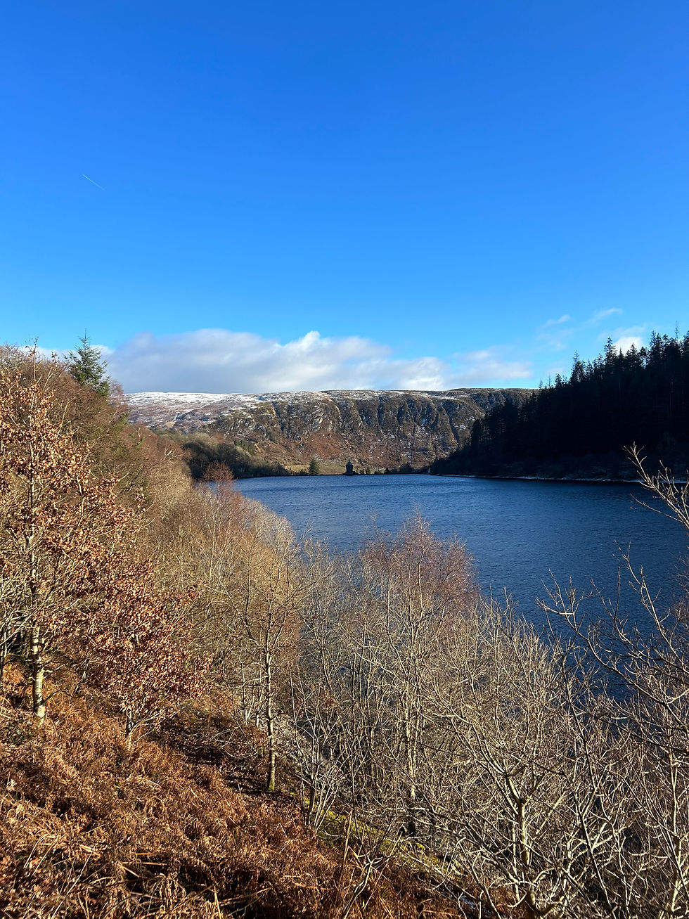 Wide angle view of the Elan Valley reservoirs surrounded by rolling hills