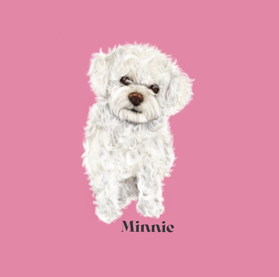 Thumbnail: Pet Portrait