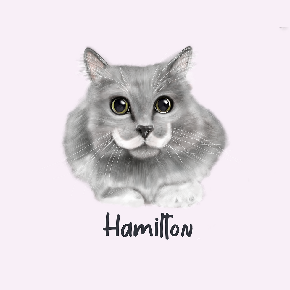 Thumbnail: Pet Portrait