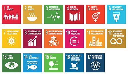 sdg-hero (1).png