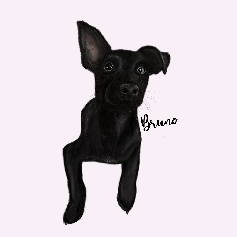 Thumbnail: Pet Portrait