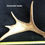 Thumbnail: Customized Small Antler Carving