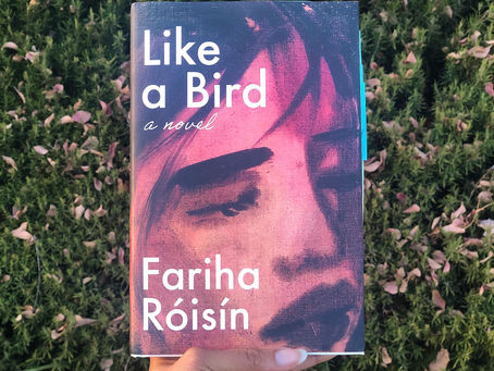 reflection: Like A Bird by Fariha Róisín