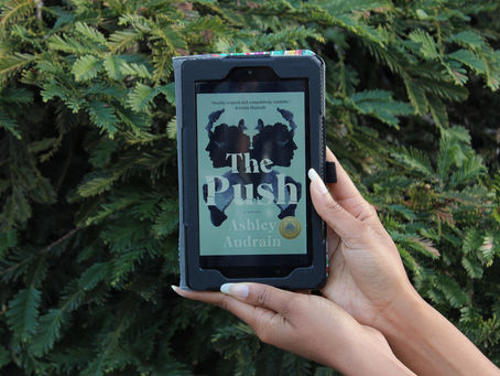 reflection: The Push by Ashley Audrain