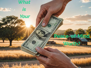 Exchanging money in a serene countryside setting, the image asks us to ponder the value of peace of mind.