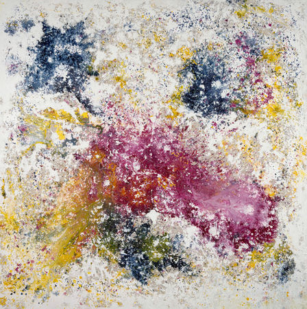 Perseids, 2026, Julie ANDERSON MATHIAS