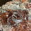 Thumbnail: 14k Diamond cluster huggies