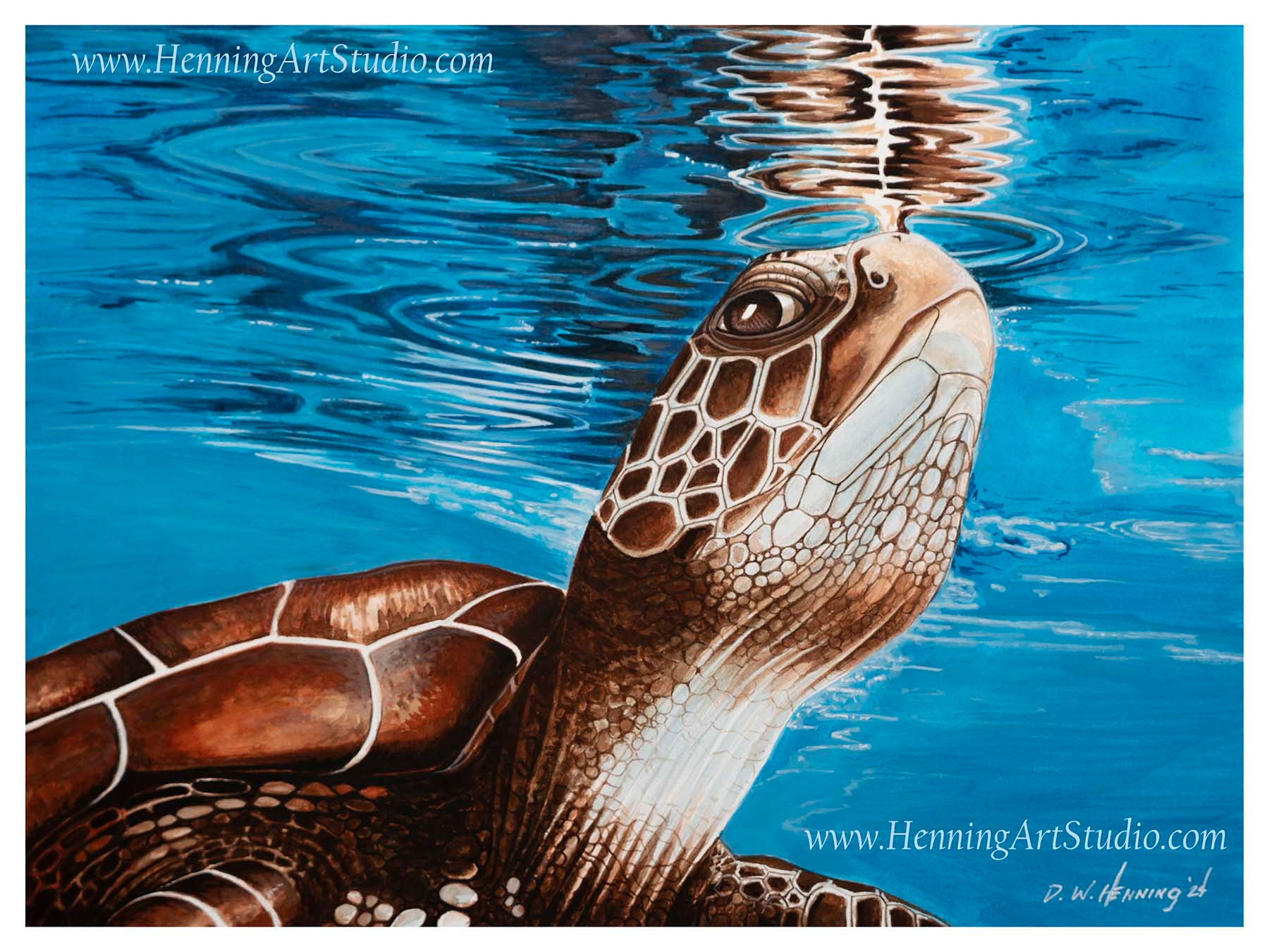 sea turtle original art