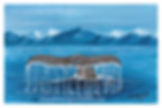 whales tail original art