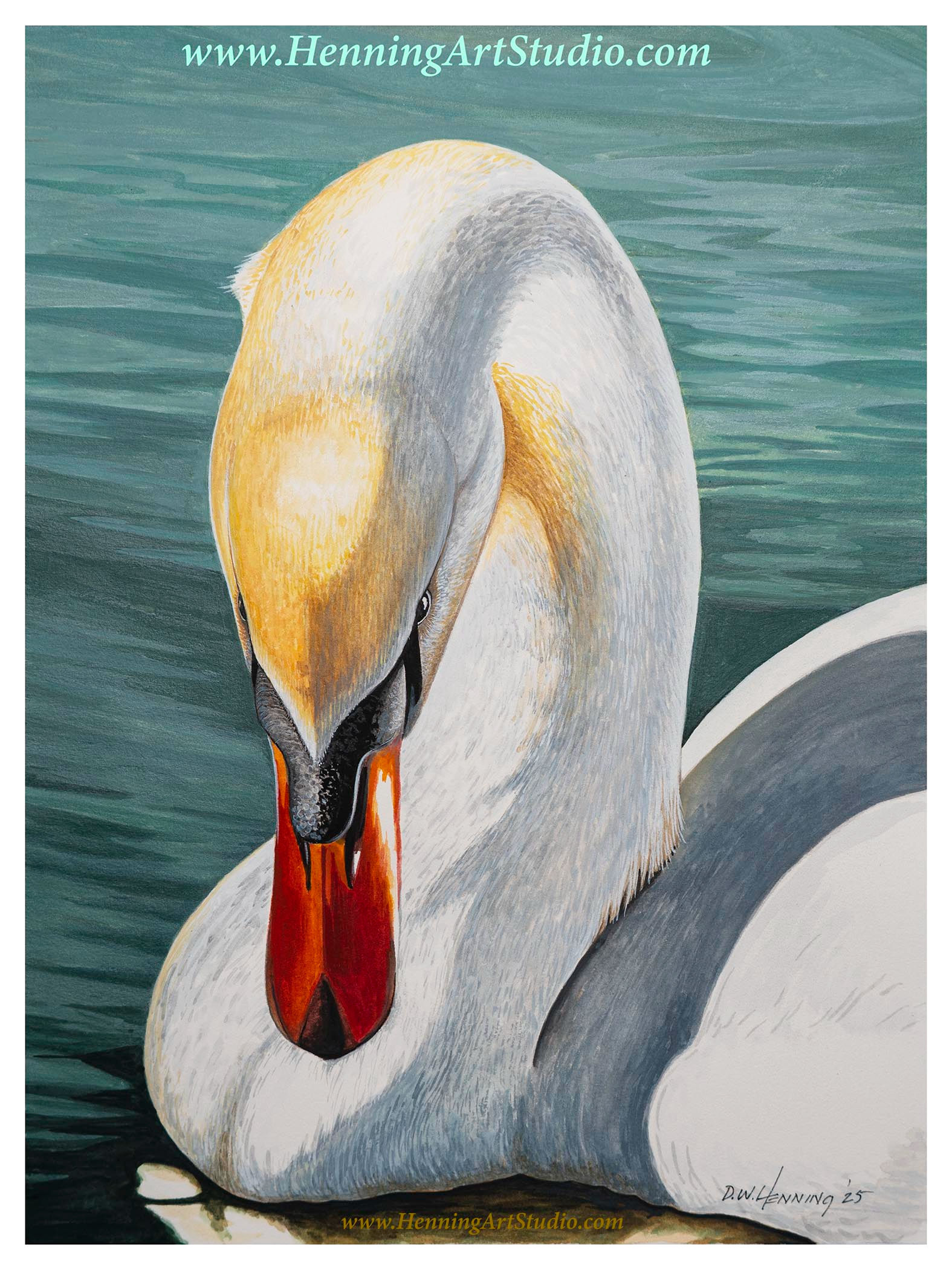 swan watercolor artwork print
