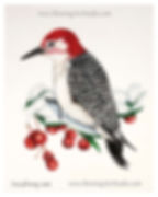 red headed woodpecker original art