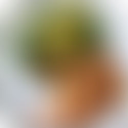 Hokkaido mit süß-scharf Soße