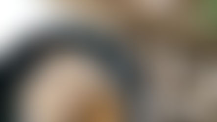 Apfel-Wölkchen / Vegan