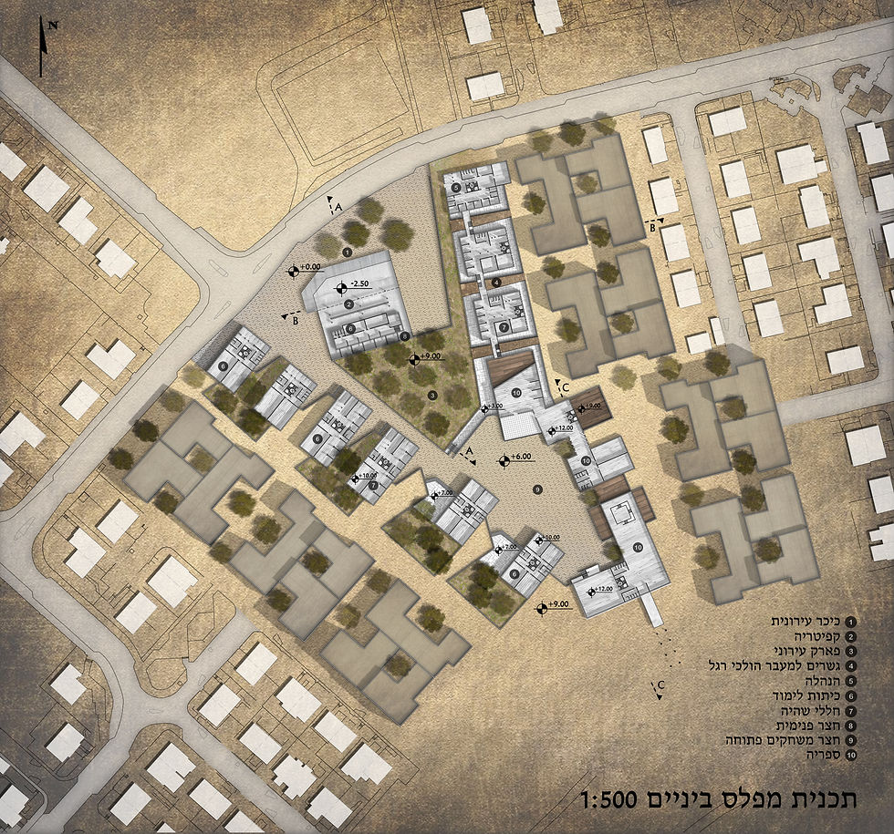 תכנית מפלס ביניים