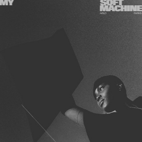 The Inner Workings of Arlo Parks: A Review of ‘My Soft Machine’