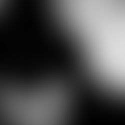 Bedroom Pop and Late Night Questions on Gracie Abrams’ New Single