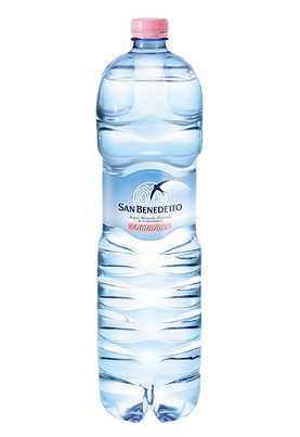 San Benedetto 1_edited.png