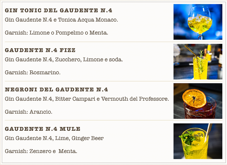 BROCHURE GAUDENTE N 4 (1)-2.png