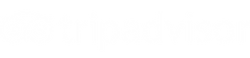 TripAdvisor-Logo-2000-2020 copia.png
