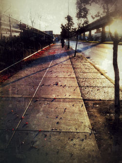 Early Morning Stroll