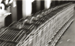Shopping Carts