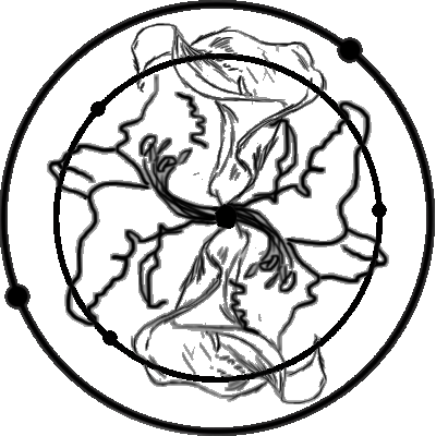 Initium Designs Logo Black