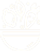 salad-vegetable_white.png