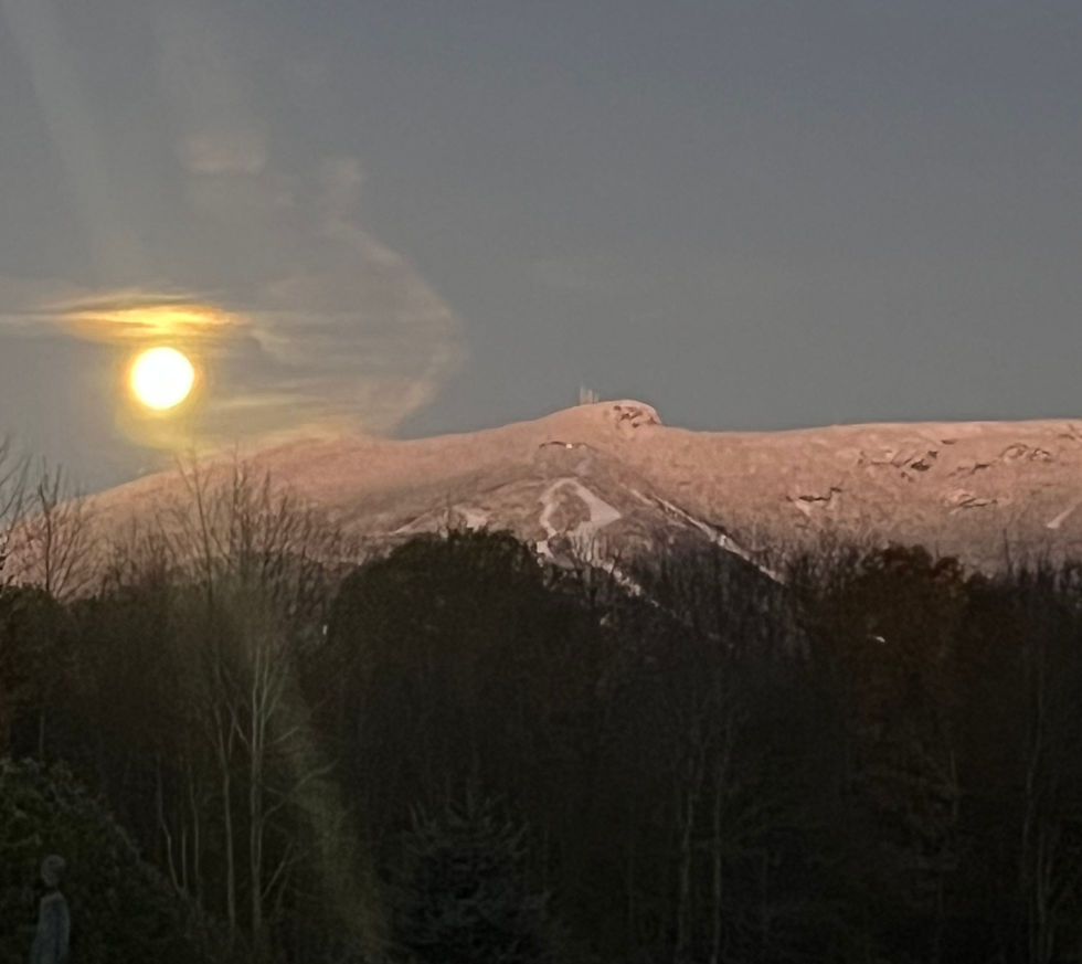 Chakra Meditation with Biofield Tuning (sound)