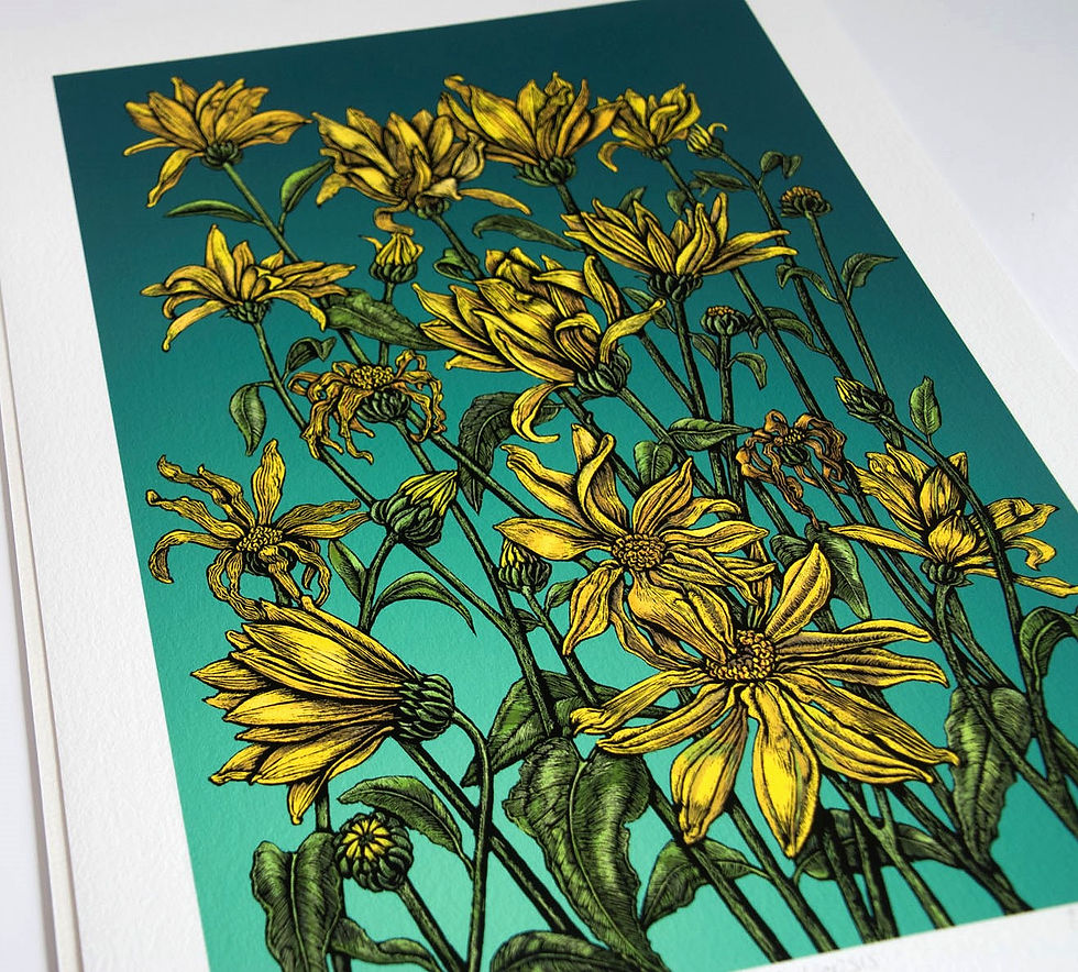 Thumbnail: Heliopsis on Blue Limited Edition Giclee Print