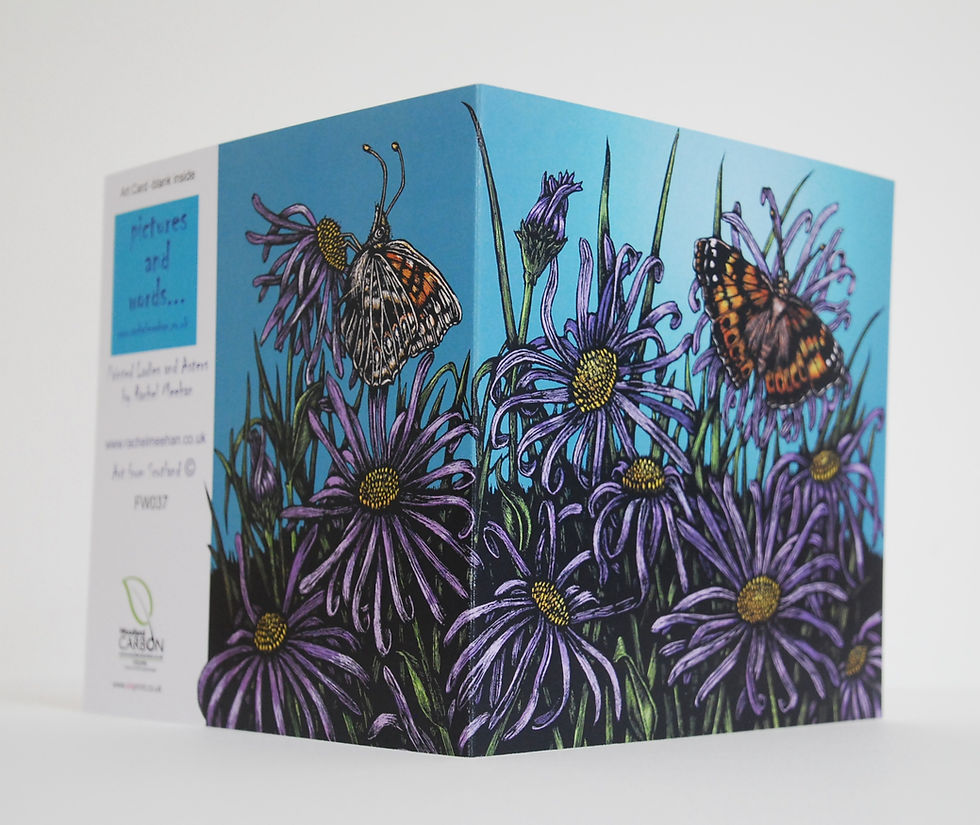 Painted Lady Butterfly and Asters Greeting Card