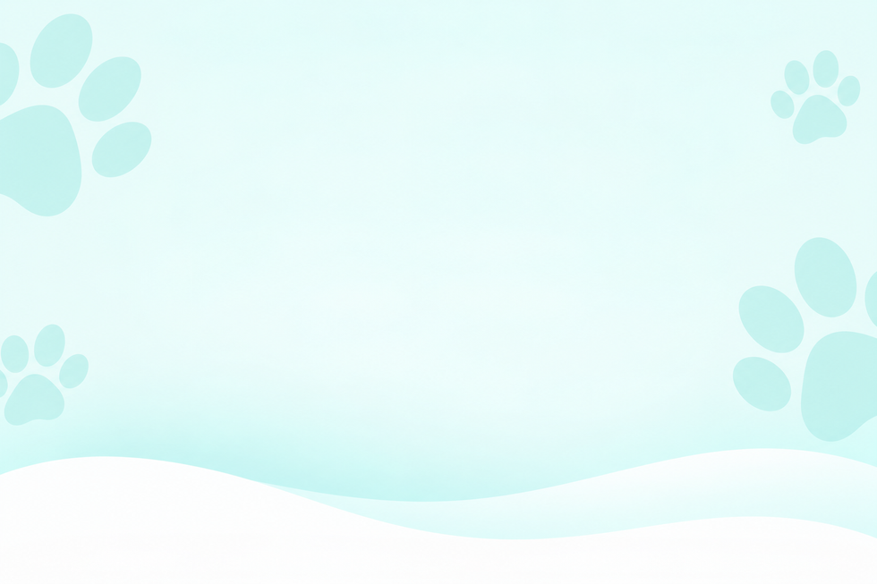 Minimal Mint Paw Print Waves.png