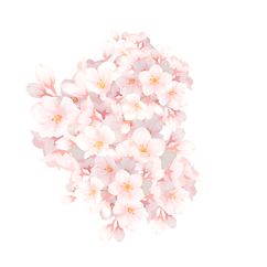 ㅁㄴㄹㅇ.png