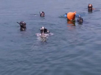 assetto costante avigliana