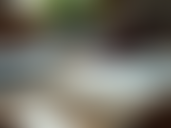 Prisão em Flagrante: O Que Fazer (e o Que NÃO Fazer) para Proteger sua Liberdade.