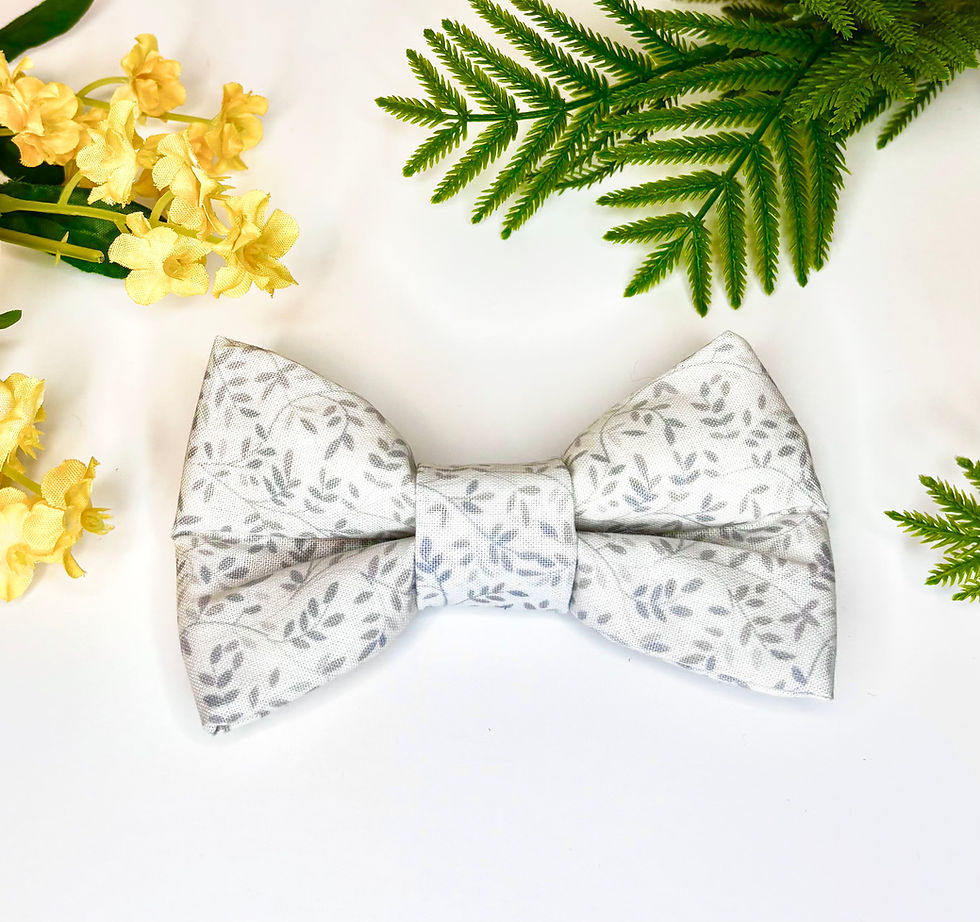 Thumbnail: Pet Bow Ties - Spring '24 Mystery Set -